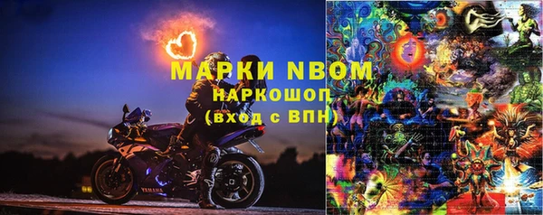 ГАЛЛЮЦИНОГЕННЫЕ ГРИБЫ Беломорск