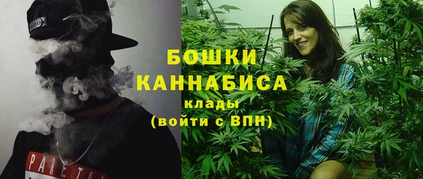 бошки Белокуриха