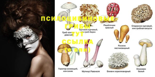 стаф Белоозёрский