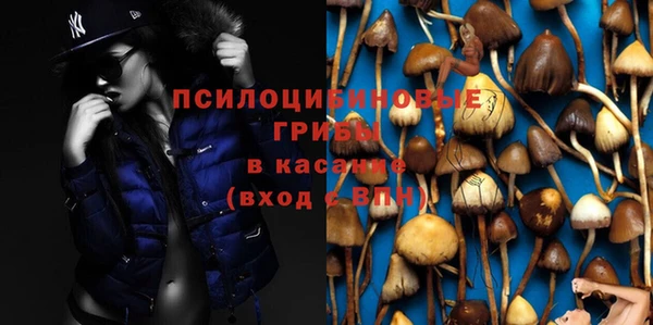 бошки Белокуриха