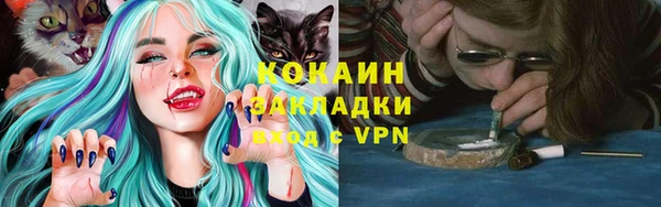 ГАЛЛЮЦИНОГЕННЫЕ ГРИБЫ Беломорск