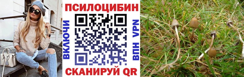 Галлюциногенные грибы мицелий наркота Валуйки