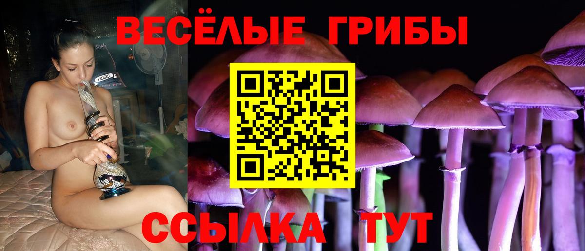 Валуйки  Псилоцибиновые грибы ЛСД  Галлюциногенные грибы ЛСД  закладка  Вход с VPN 